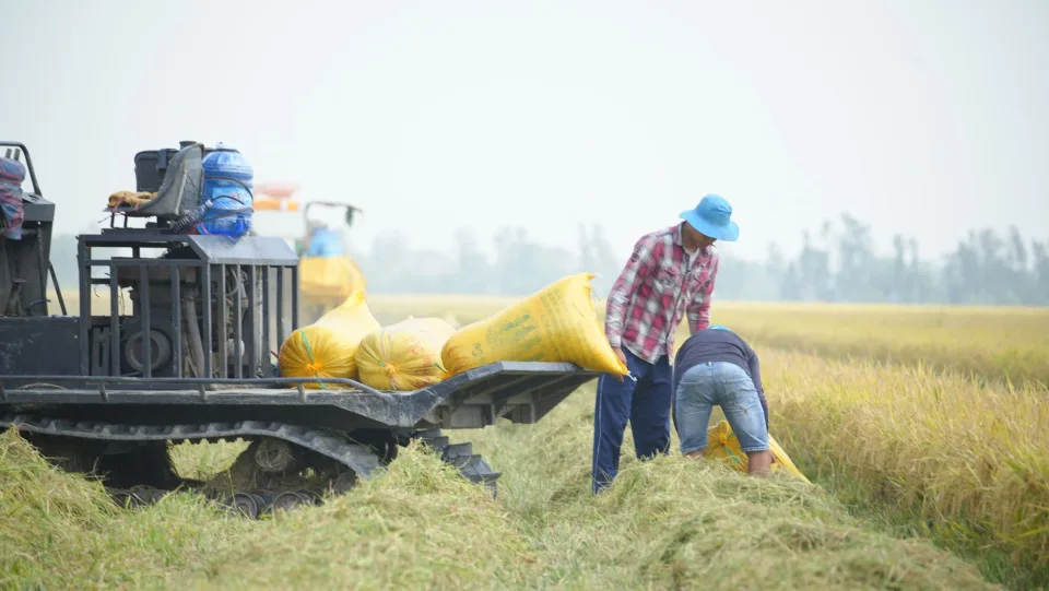 Kho gạo của Lê Thị Chín